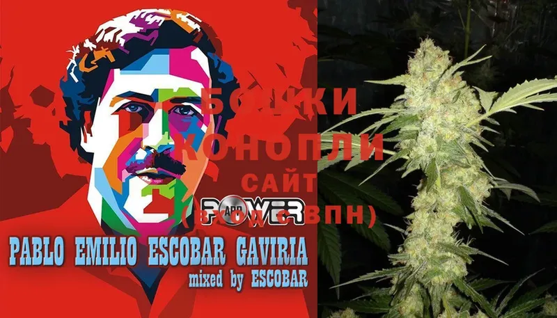 где найти   Кинель  МАРИХУАНА OG Kush 